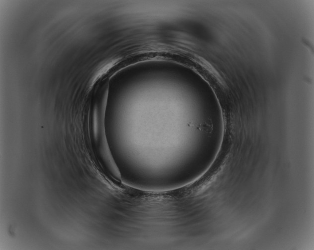 X0000095690826200801081246
