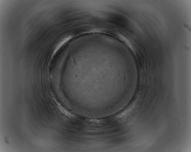 X0000095690827200801081246