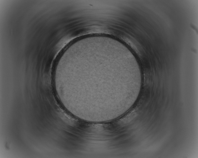 X0000095690828200801081246