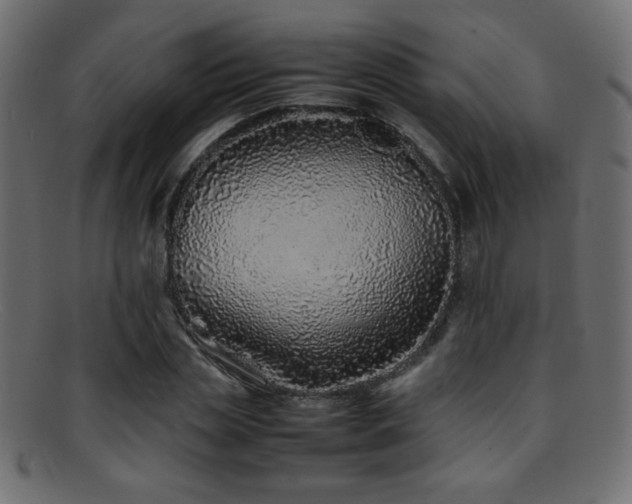 X0000095690829200801081246