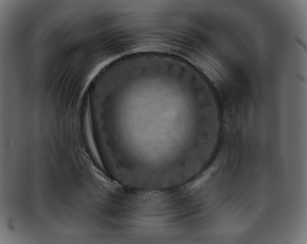 X0000095690830200801081246