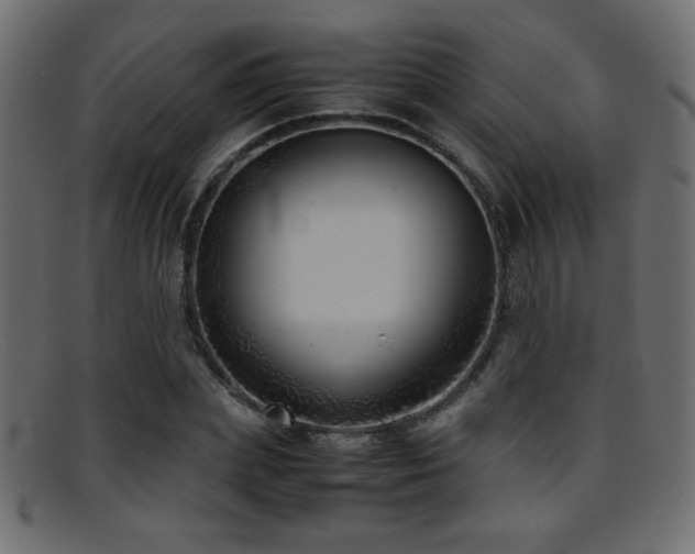 X0000095690831200801081246