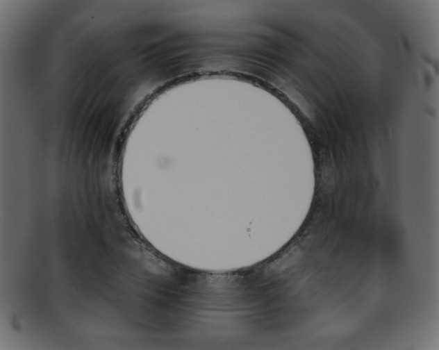 X0000095690832200801081246