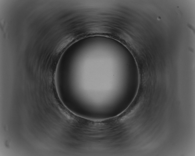 X0000095690833200801081246