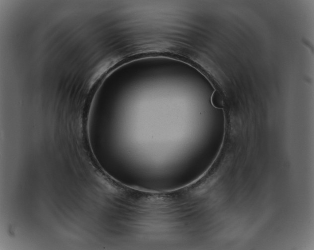 X0000095690834200801081246