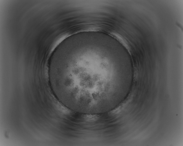 X0000095690835200801081246