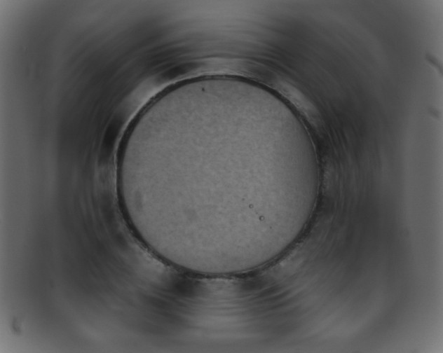 X0000095690836200801081246