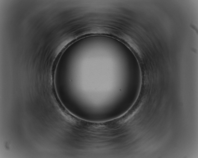 X0000095690837200801081246