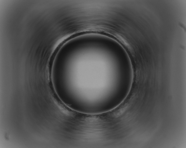 X0000095690838200801081246