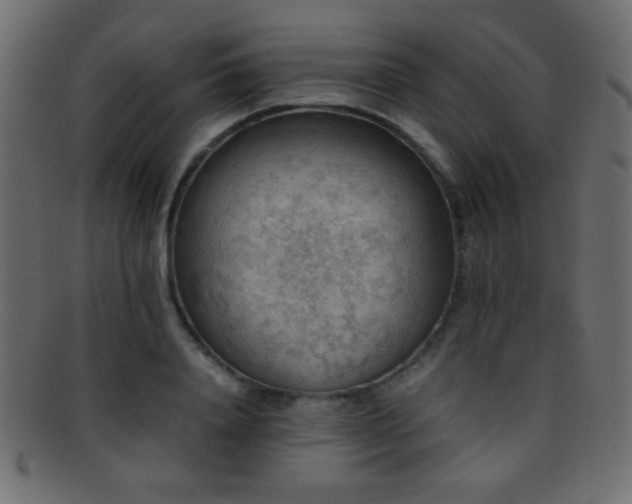 X0000095690840200801081246