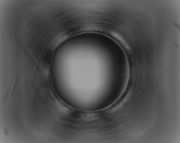 X0000095690841200801081246