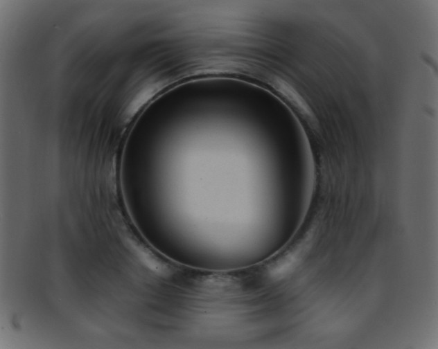 X0000095690842200801081246