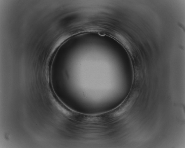 X0000095690843200801081246