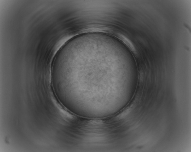 X0000095690844200801081246