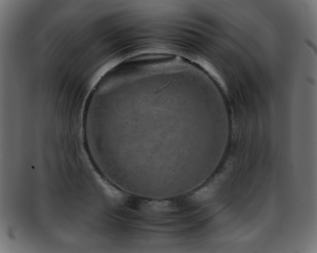 X0000095690845200801081246