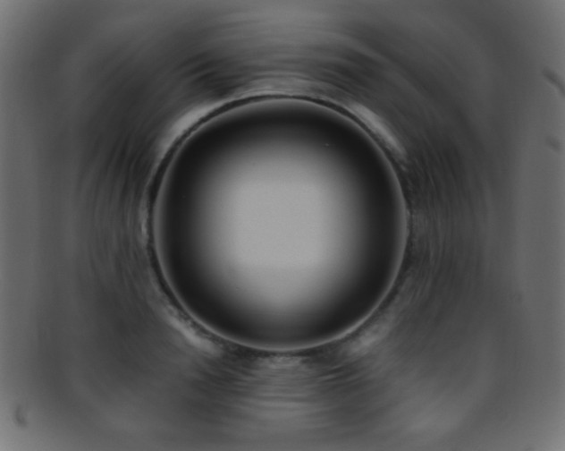 X0000095690846200801081246