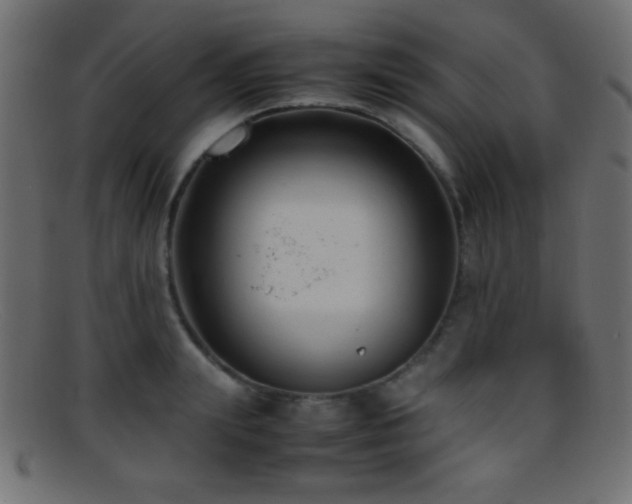 X0000095690847200801081246