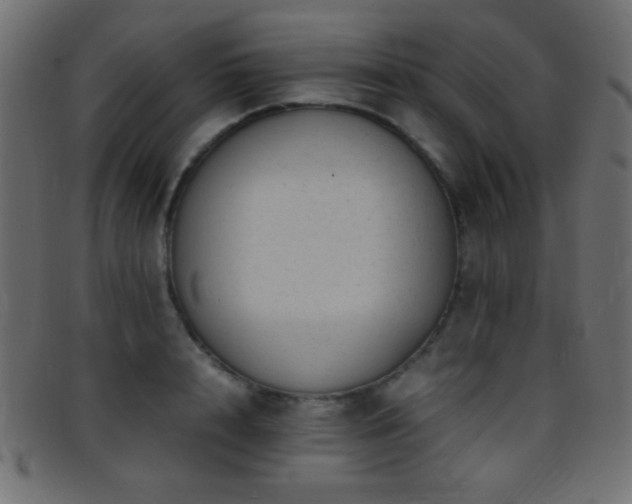 X0000095690848200801081246