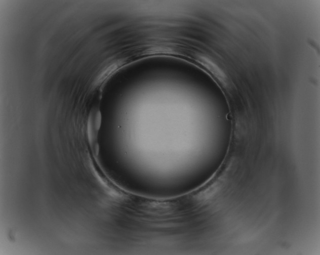 X0000095690849200801081246