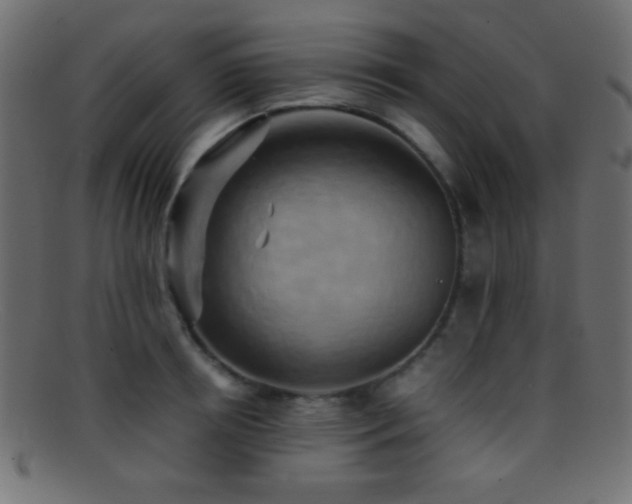 X0000095690850200801081246