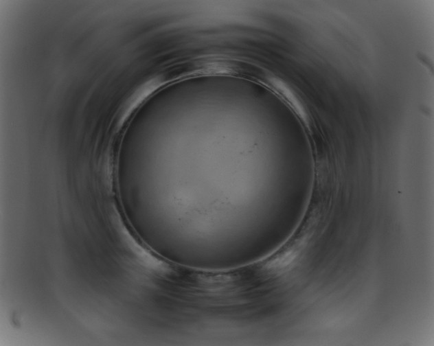 X0000095690851200801081246