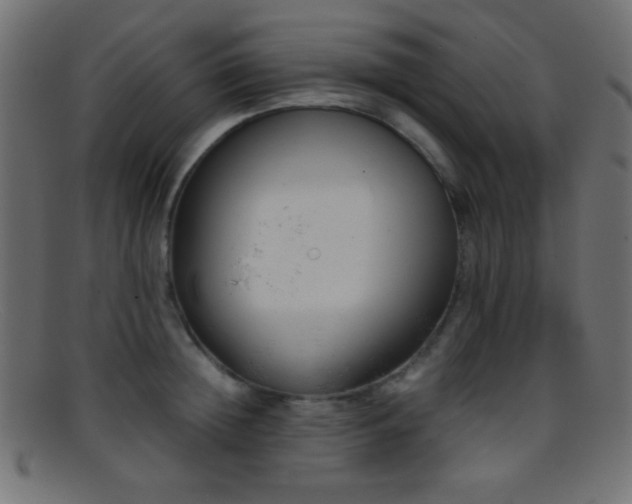 X0000095690852200801081246