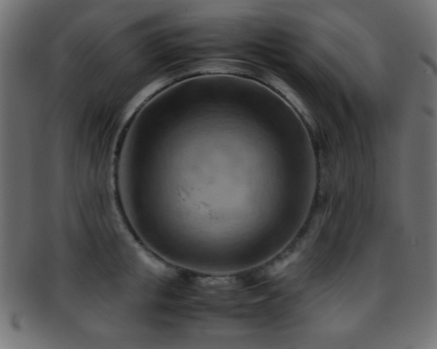 X0000095690853200801081246
