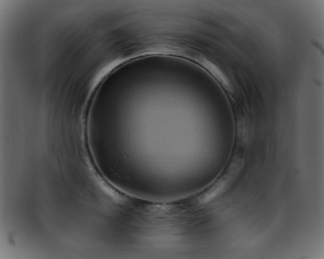 X0000095690854200801081246