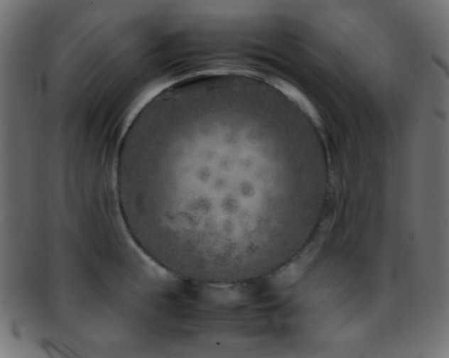 X0000095690855200801081246