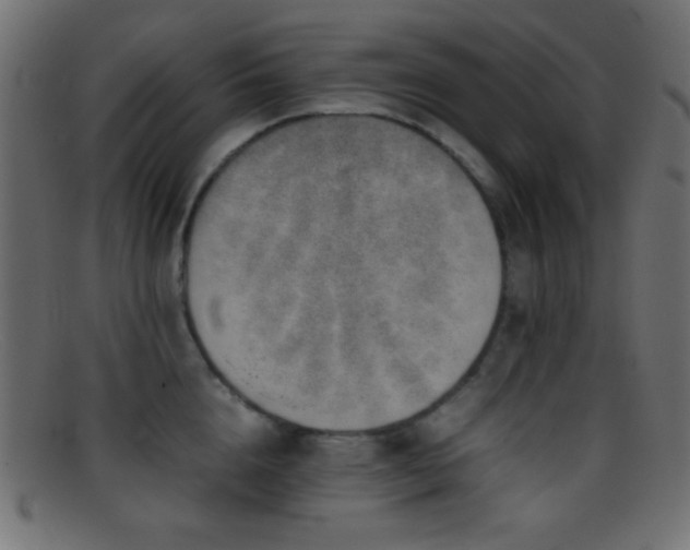 X0000095690856200801081246