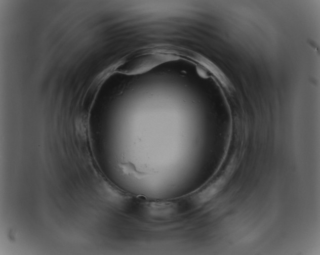 X0000095690857200801081247