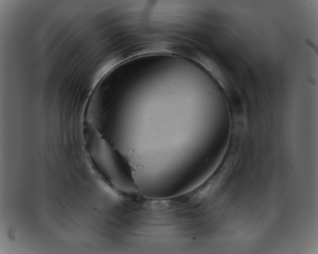 X0000095690858200801081247
