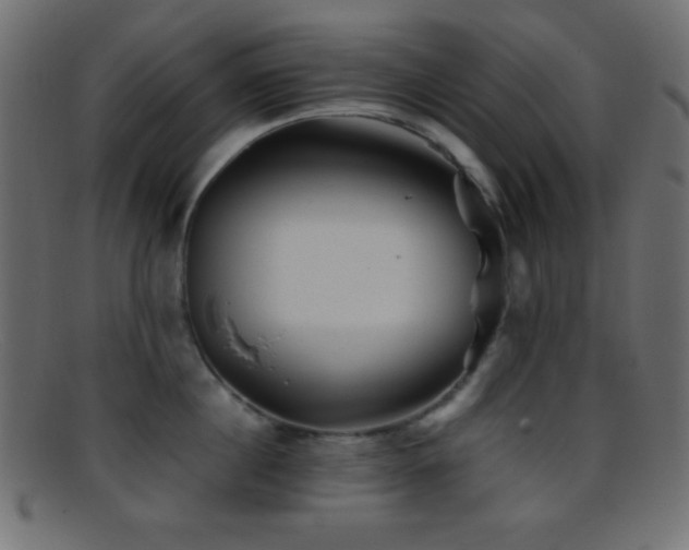 X0000095690860200801081247