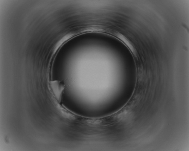 X0000095690861200801081247