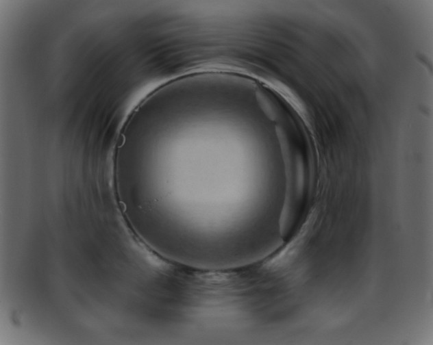 X0000095690862200801081247