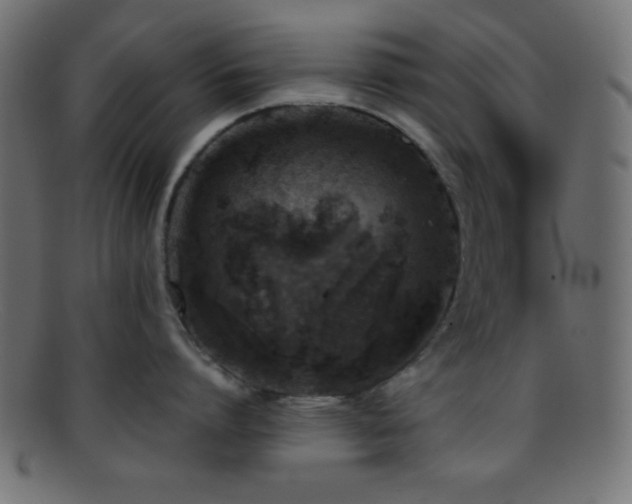 X0000095690864200801081247