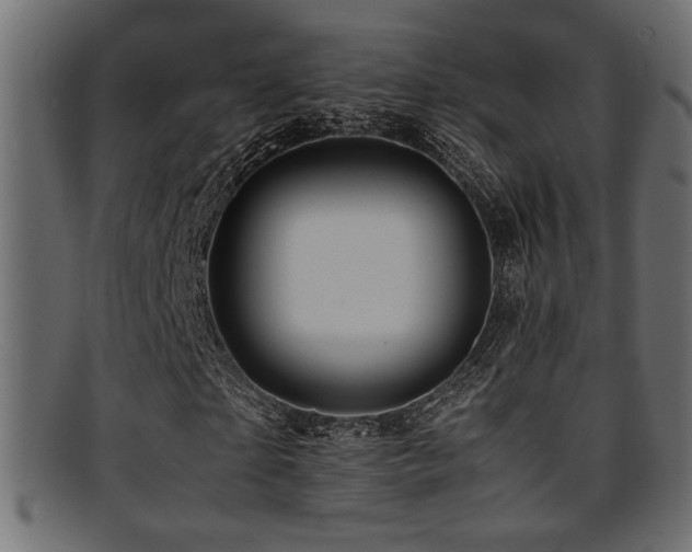X0000095690865200801081246