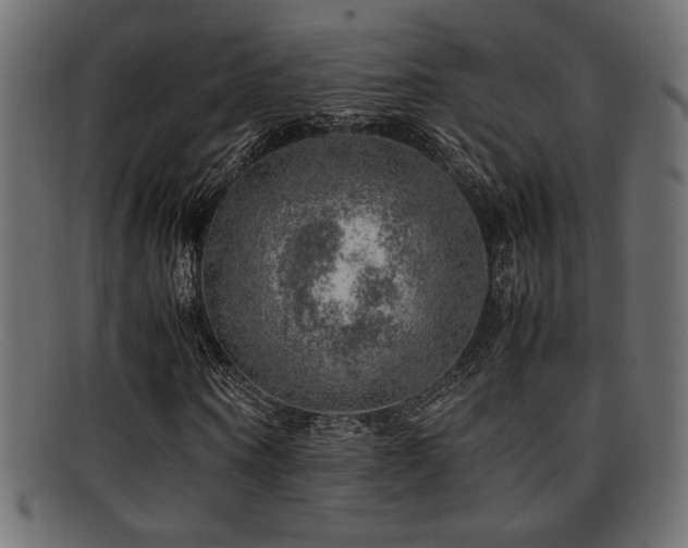 X0000095690866200801081246