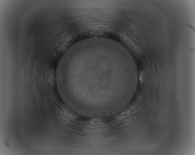 X0000095690867200801081246