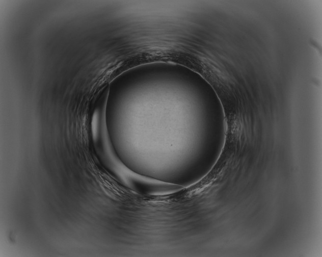 X0000095690868200801081246