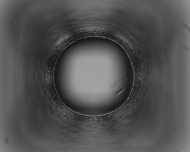 X0000095690869200801081246