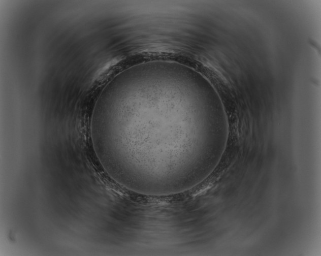 X0000095690870200801081246