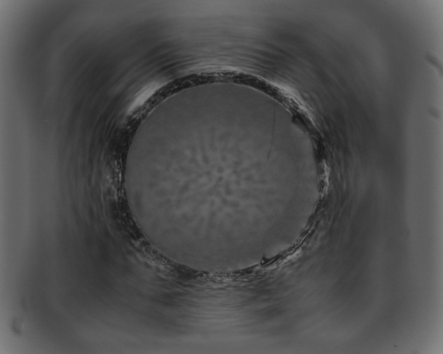 X0000095690871200801081246