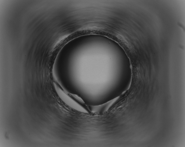 X0000095690872200801081246