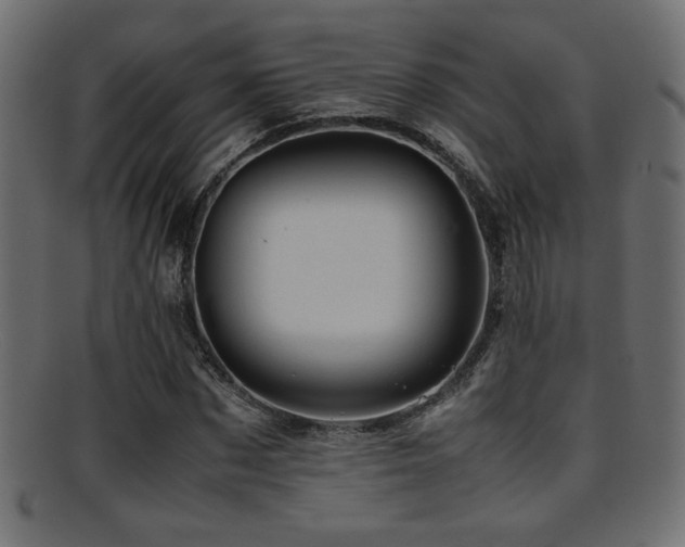 X0000095690873200801081246
