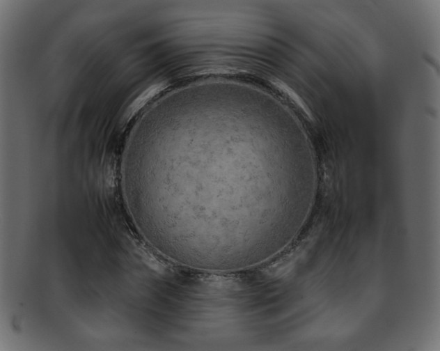 X0000095690874200801081246
