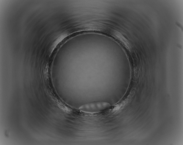 X0000095690875200801081246