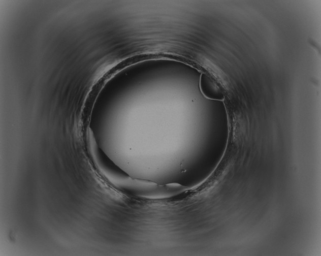 X0000095690876200801081246