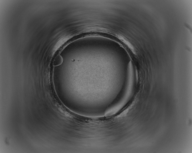 X0000095690877200801081246