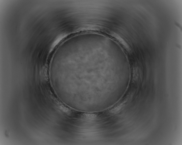 X0000095690878200801081246